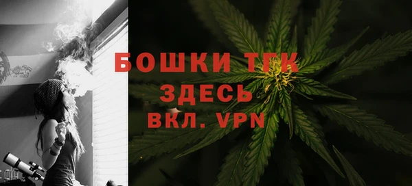 сатива Абдулино